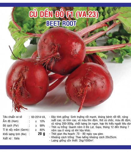 Củ dền đỏ - Việt á Seeds - Công Ty TNHH Phát Triển Nông Nghiệp Việt Á